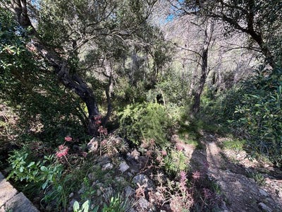 /international/es/sant-pere-de-ribes-catalonia-310108324447/