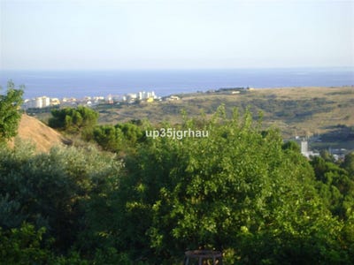 /international/es/pona-andalusia-310100884294/