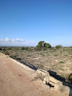 /international/es/carretera-de-elche-la-marina-portimao-valencian-community-310107756934/