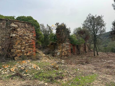 /international/es/cruilles-catalonia-120093067688/