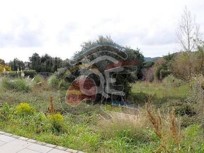 /international/es/calonge-catalonia-120063484767/