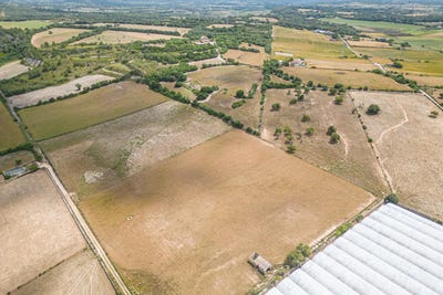 /international/es/manacor-balearic-islands-310103462652/