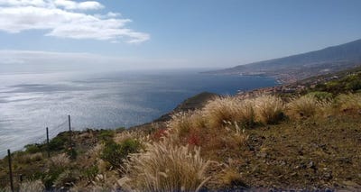 /international/es/el-rosario-canary-islands-120085425696/