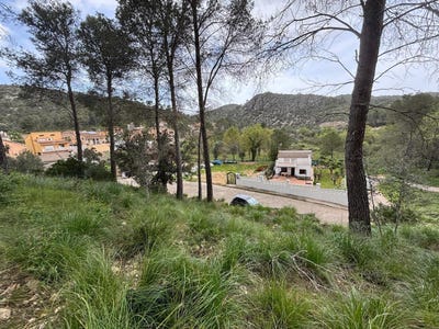 /international/es/canyelles-catalonia-310108324476/