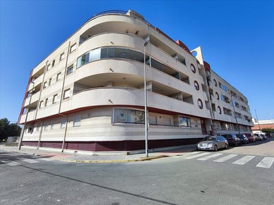 /international/es/almoradi-valencian-community-310103561169/