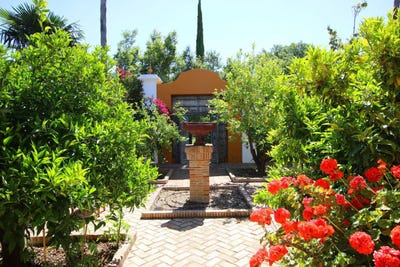 /international/es/gaucin-andalusia-310107650821/
