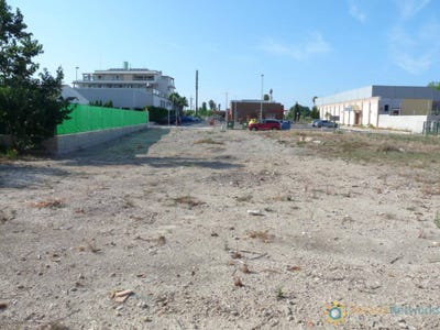 /international/es/oliva-valencian-community-310108210673/