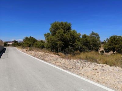 /international/es/alicante-alacant-valencian-community-310100910265/