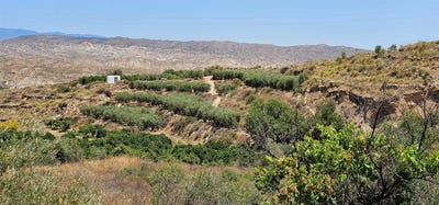 /international/es/illar-andalusia-310108454610/
