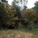 /international/es/cerdanyola-del-valles-catalonia-310094422628/
