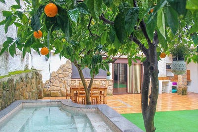 /international/es/casas-de-don-pedro-extremadura-310105743352/