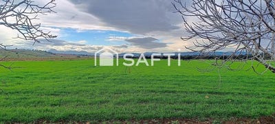 /international/es/ronda-andalusia-310101281616/