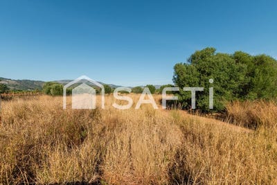 /international/es/oropesa-del-mar-valencian-community-310107740520/
