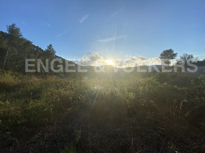 /international/es/vallirana-catalonia-310094935649/