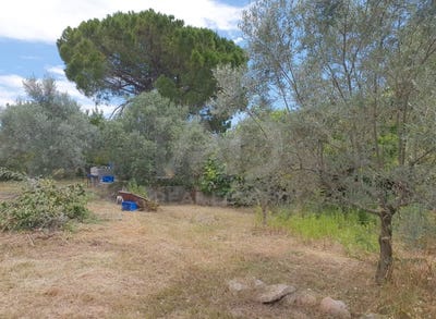 /international/es/carrer-de-la-tulipa-calafell-catalonia-310105965152/