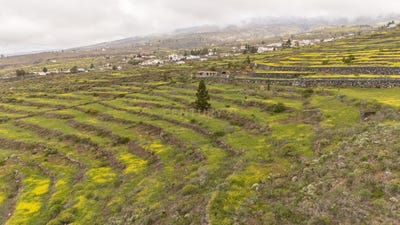 /international/es/adeje-canary-islands-310105242156/