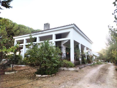 /international/es/beas-andalusia-310108894555/