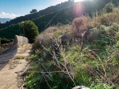 /international/es/torrox-andalusia-310100739105/