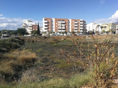 /international/es/velez-malaga-andalusia-310103466100/
