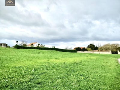 /international/es/ajo-cantabria-310108829444/
