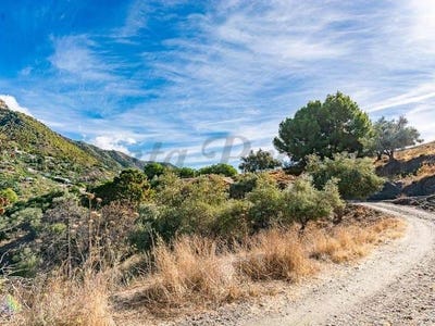 /international/es/torrox-andalusia-310103715284/