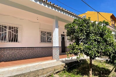 /international/es/castanetero-malaga-andalusia-120076997676/