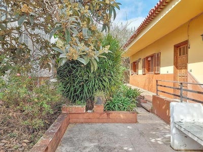 /international/es/palmas-de-gran-canaria-las-canary-islands-310103800642/