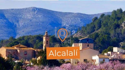 /international/es/alicante-valencian-community-310101032286/