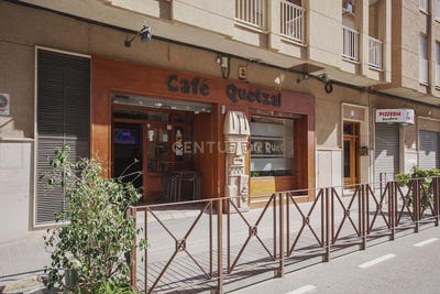 /international/es/elche-elx-valencian-community-310101354691/