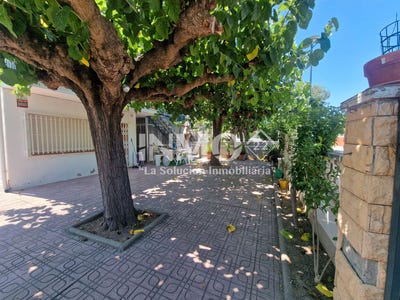 /international/es/cambrils-catalonia-310097123882/