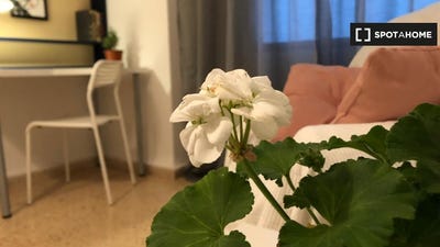 /international/es/valencia-valencian-community-120071833355/?lang=en