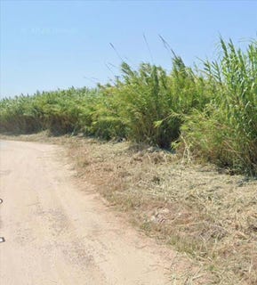/international/es/cullera-valencian-community-310105827806/