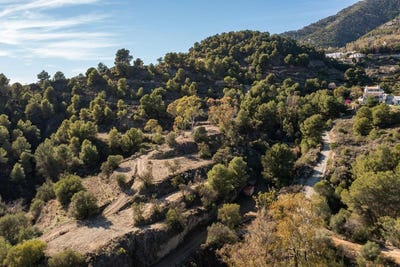 /international/es/mijas-andalusia-310101418859/