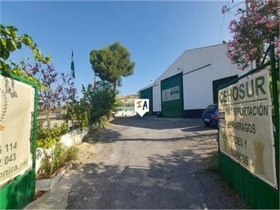 /international/es/puerto-lope-andalusia-120085679965/
