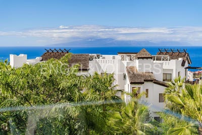 /international/es/alcala-canary-islands-310103468130/