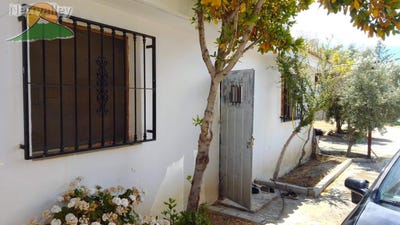 /international/es/lecrin-andalusia-310097564206/