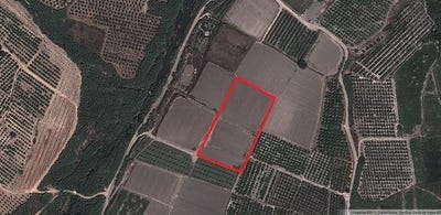 /international/es/xativa-valencian-community-310108242897/