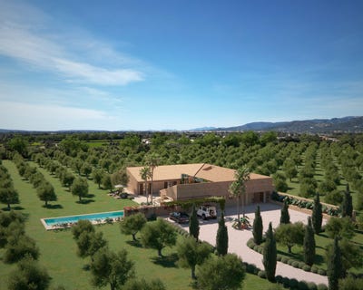/international/es/diseminado-poligono-1-90-07300-inca-illes-balears-spain-inca-balearic-islands-310102637337/