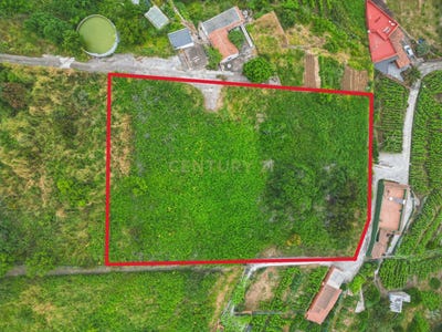/international/es/orotava-la-canary-islands-310100824453/