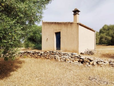 /international/es/poligono-aldover-tortosa-catalonia-310119464813/