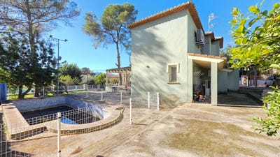 /international/es/palma-de-gandia-valencian-community-310103684663/
