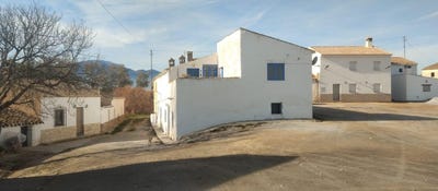 /international/es/caniles-andalusia-310100740470/