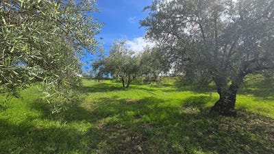 /international/es/guajares-los-andalusia-310106824643/