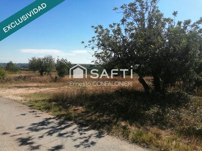 /international/es/godelleta-valencian-community-310105741093/