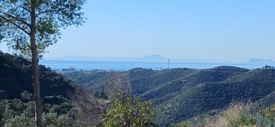 /international/es/istan-andalusia-310106236328/