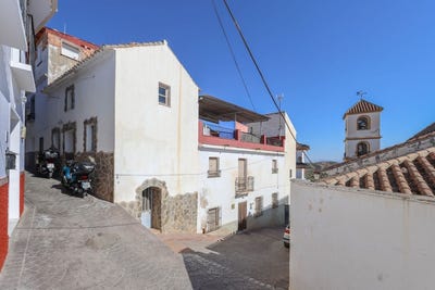 /international/es/guaro-andalusia-310110358014/