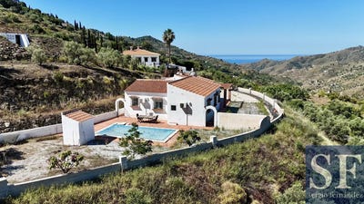 /international/es/competa-andalusia-310108756004/