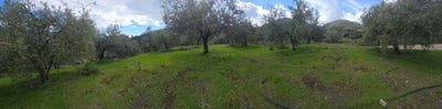 /international/es/guajares-los-andalusia-310106855626/