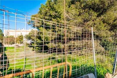 /international/es/can-pastilla-balearic-islands-120074806178/