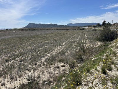 /international/es/hondon-de-las-nieves-valencian-community-310106992288/